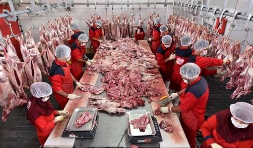 چراغ سبز بازار به کاهش قیمت گوشت