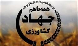 6 طرح کشاورزی ودامپروری در شهرستان شهربابک به بهره برداری می رسد