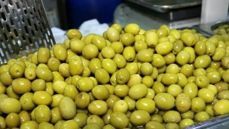 برداشت ۶۵ تن زیتون از اراضی کشاورزی این شهرستان