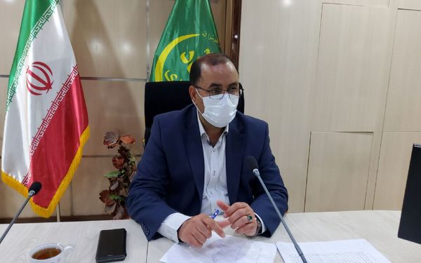 افزایش ۲۵ درصدی محصولات دیم با اجرای طرح جهش تولید در دیم‌زار‌ها