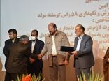 نمونه های برتر کشاورزی، نگین های کشاورزی کشور هستند
