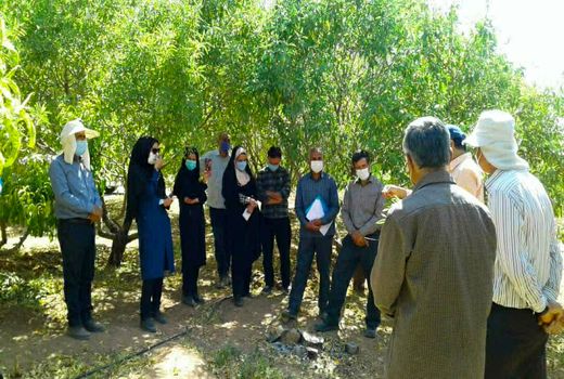 برگزاری دو دوره آموزشی ترویجی کشاورزی در شهرستان سامان