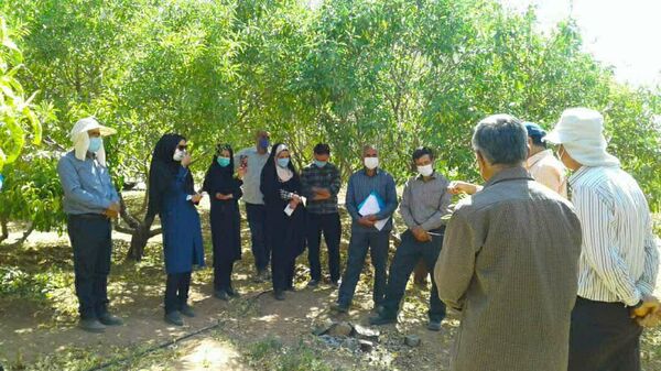 برگزاری دو دوره آموزشی ترویجی کشاورزی در شهرستان سامان