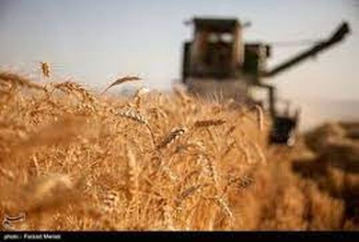 برگزاری جلسه کمیته برداشت در شهرستان مهران