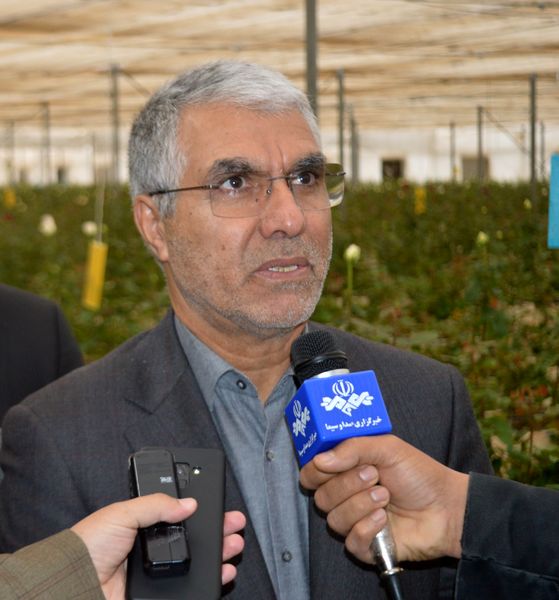 توسعه کشت گلخانه‌ای ضرورت جدی در استان فارس