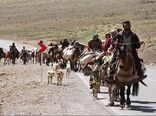  خودکفایی در گوشت قرمز با تامین انرژی پاک و آب پایدار برای عشایر