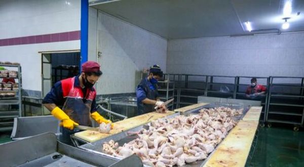 در ایام نوروز هیچ کمبودی در بازار مرغ نداریم