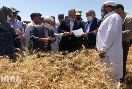 دومین روز سفر وزیر جهاد کشاورزی به استان سیستان و بلوچستان