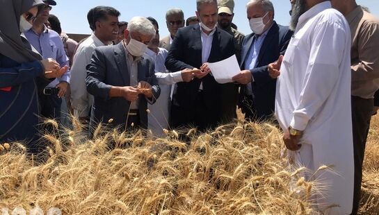 دومین روز سفر وزیر جهاد کشاورزی به استان سیستان و بلوچستان