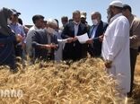 دومین روز سفر وزیر جهاد کشاورزی به استان سیستان و بلوچستان
