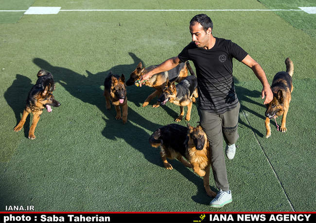 Saba Taherian 9
