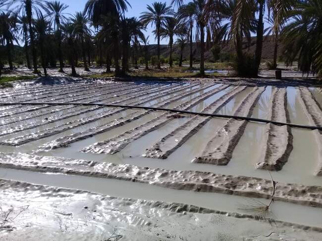 خسارت سیل در سیستان و بلوچستان