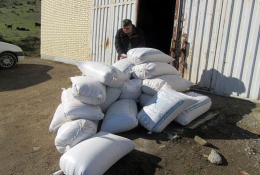 توزیع3256 تن نهاده های دامی از جمله جو، ذرت و سبوس بین دامداران شهرستان خداآفرین