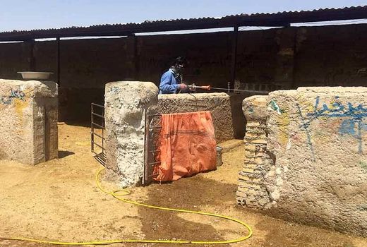 سم‌پاشی مناطق پرخطر برای پیشگیری از تب کریمه