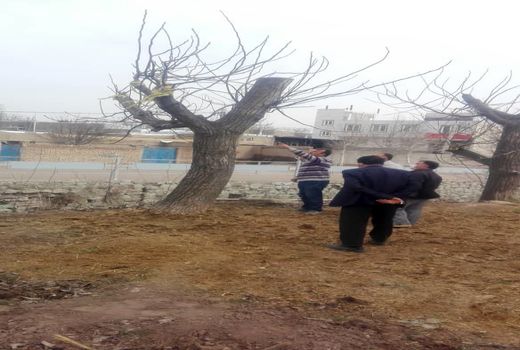 باغداران شهرستان قزوین با اصول نوین باغداری آشنا شدند