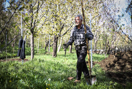 پیشنهاد کمک بلاعوض 5 میلیون تومانی به کشاورزان 