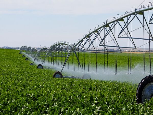استان اردبیل یکی از ده استان برتر در اجرای سیستم های نوین آبیاری تحت فشار است