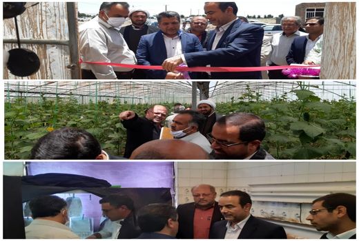 افتتاح یک واحد گلخانه به نمایندگی از ۵ گلخانه فردوس 