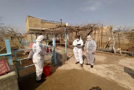 بازدید کارشناسان دامپزشکی از اجرای طرح واکسیناسیون طیور بومی شهرستان ورامین