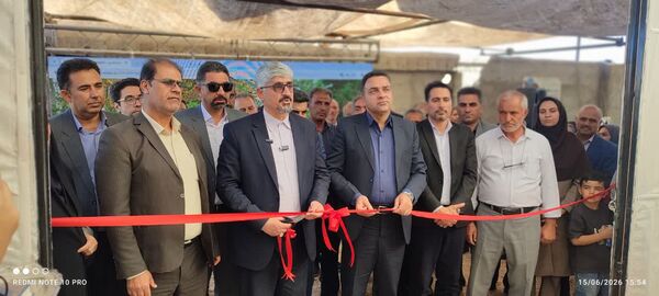 گلخانه فلفل دلمه ای در شهرستان آباده افتتاح شد