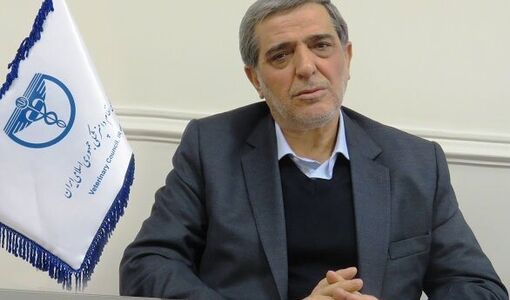 شرط مصرف خانگی گوشت بوفالو، رعایت کامل پروتکل‌های بهداشتی است