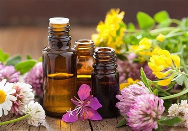 راه اندازی کارگاه اسانس گیری گیاهان دارویی در شهرکرد