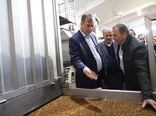 افزایش راندمان با اجرای طرح فراز در باغات انگور
