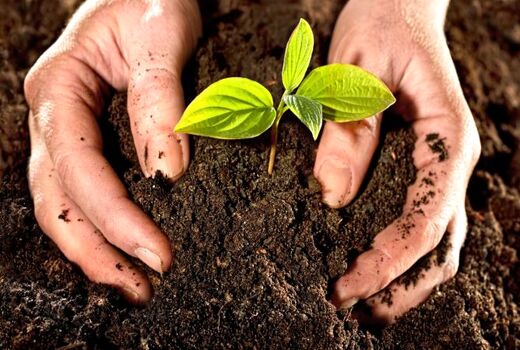 سامانه‌ اطلاعات خاک کشور به زودی رونمایی می‌شود