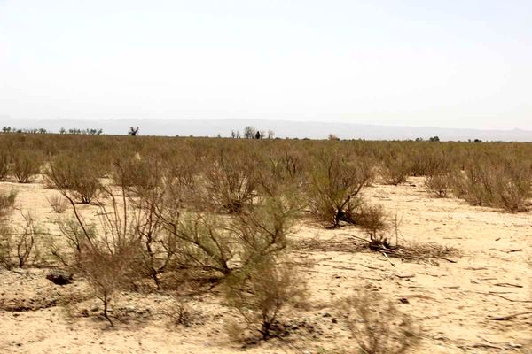 ظرفیت طبیعت‌گردی بیابانی جدی گرفته شود