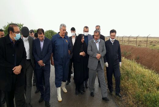 استاندار قزوین از واحد کشت و صنعت سیمرغ در شهرستان بوئین زهرا بازدید کرد