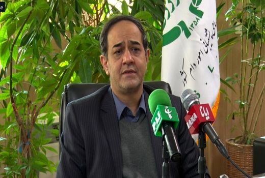 توزیع تخم‌مرغ با قیمت مصوب از امروز  در سطح شهر تهران آغاز می‌شود