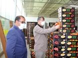 تولید 2.5 درصد از کل محصولات کشاورزی کشور در استان لرستان