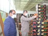 تولید 2.5 درصد از کل محصولات کشاورزی کشور در استان لرستان