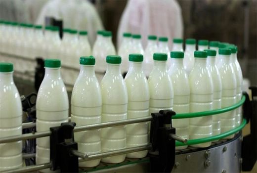 افزایش نرخ لبنیات در راستای فشار تورمی به دامداران