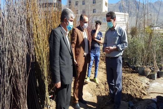  بازدید مدیر حفظ نباتات استان از فروشندگان نهال شهر خرم اباد