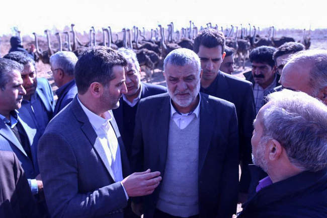  سفر وزیر جهادکشاورزی به پاکدشت