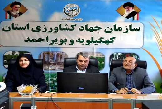 رئیس سازمان جهاد کشاورزی کهگیلویه و بویراحمد: مدیران خانواده در خط مقدم تولیدات کشاورزی
