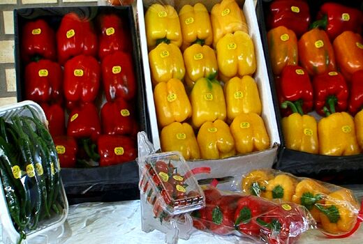 استان اصفهان صاحب رتبه اول صادرات محصولات گلخانه‌ای در کشور