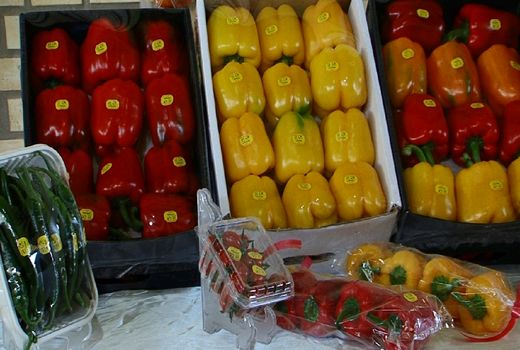 استان اصفهان صاحب رتبه اول صادرات محصولات گلخانه‌ای در کشور