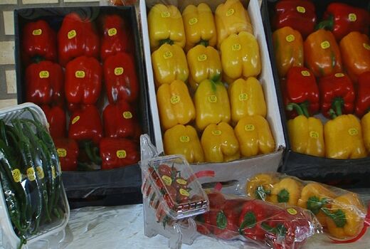 استان اصفهان صاحب رتبه اول صادرات محصولات گلخانه‌ای در کشور