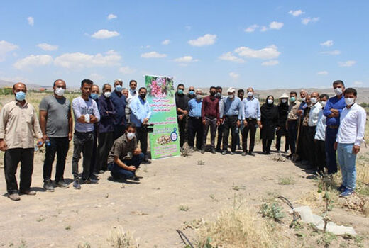 کارگاه آموزشی نحوه صحیح پیوند، اصول صحیح آبیاری و تغذیه در درختان پسته در شهرستان مرند برگزار شد