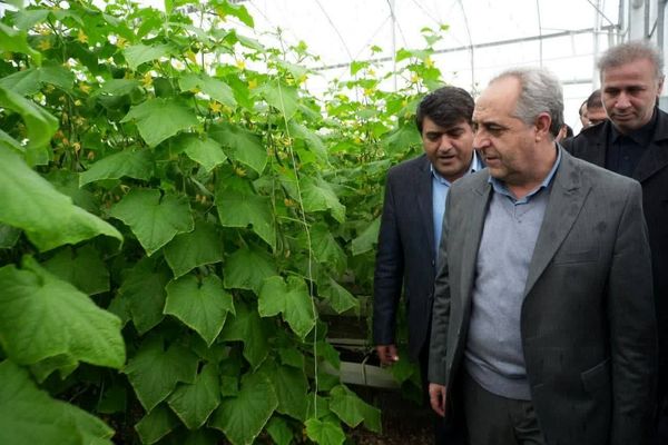 اعتماد تولیدکنندگان به دولت با رفع مشکلات بازارگاه تقویت شد