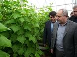 تاکید استاندار آذربایجان شرقی بر رفع موانع انرژی و نهاده‌های تولید در واحدهای گلخانه‌ای