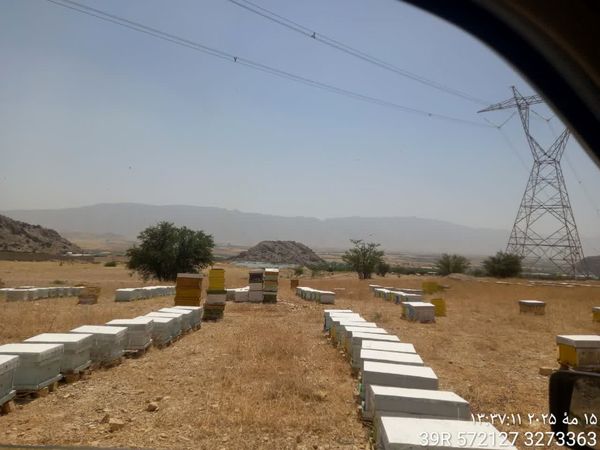 بازدید نظارتی از اراضی ملی واگذاری شهرستان کازرون