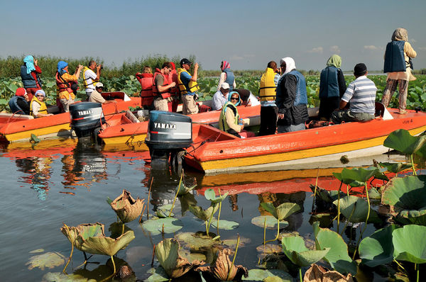 بهره‌گیری از ظرفیت تالاب‌ها برای گردشگری