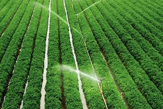 مصرف بهینه و الگوی مطلوب کشت سیاست اصفهان در حوزه آب است