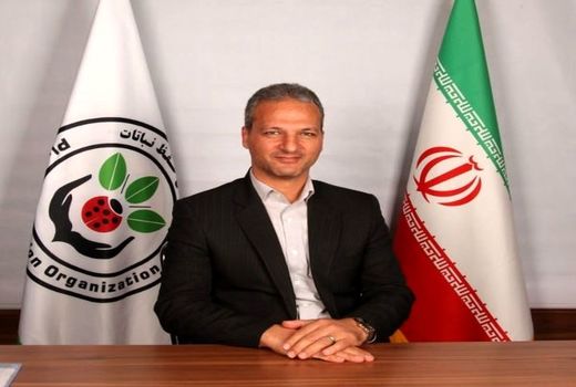 تاج تراشی، راه مناسب کنترل آفت کرم گلوگاه انار 