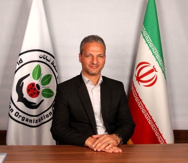 تاج تراشی، راه مناسب کنترل آفت کرم گلوگاه انار 