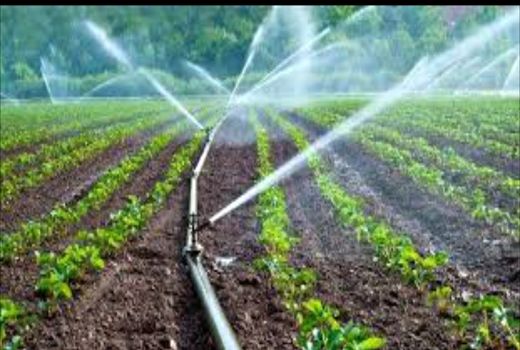 تقدیر جمعی از کشاورزان بخش سیوان از مسئولان جهاد کشاورزی استان ایلام