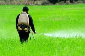 آغاز ثبت سفارش واردات انواع آفت‌کش‌ها برای فصل بهار و تابستان